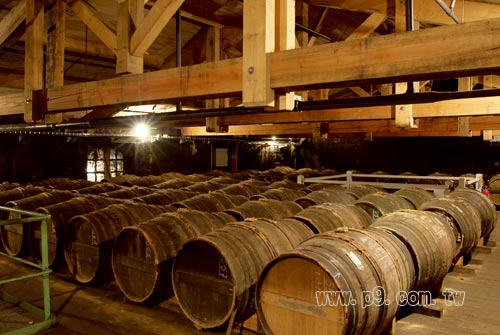 Brandy_0125_2.jpg