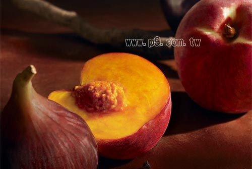 Brandy_0128_3.jpg
