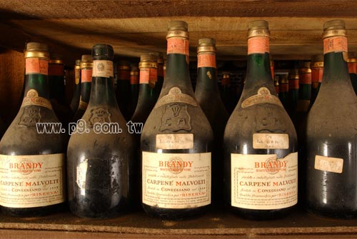 Brandy_0128_5.jpg