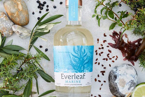 Everleaf_0126_3.jpg