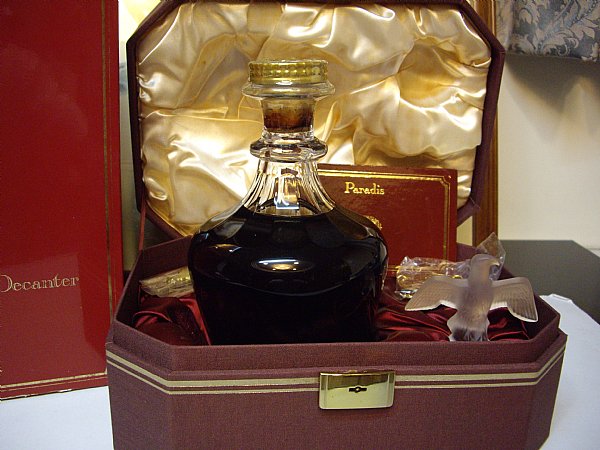 hennessy鹰王 paradis