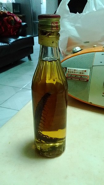 分享 老蜈蚣酒