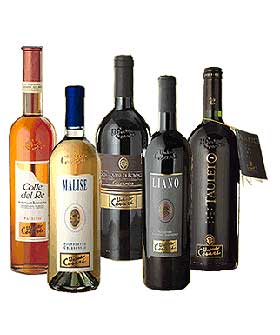 義大利 賽莎瑞酒莊 璀璨星鑽2003頂級紅葡萄酒 750ml