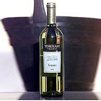 義大利 湯瑪士酒莊 盧加納2005 白酒 750ml