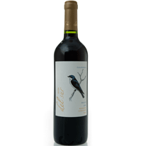 智利 藍燕梅洛特級紅葡萄酒 750ml