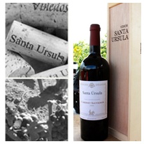 墨西哥 聖塔烏蘇拉 卡本納蘇維儂2007年紅葡萄酒 750ml