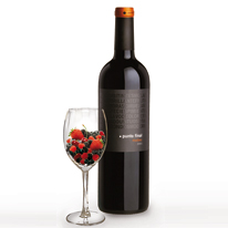 阿根廷 瑞那索酒莊 黑珍珠2011經典紅葡萄酒 750ml