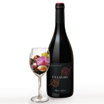 阿根廷 瑞那索酒莊 艾慕2008頂級红葡萄酒 750ml