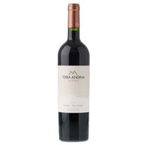 智利 德安媞娜 奧圖系列 馬爾貝克小維鐸紅葡萄酒 750ml