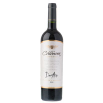 智利 卡莎諾雅酒莊 瓦杜珍藏2009頂級紅葡萄酒 750ml (已停產）