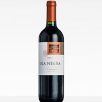 智利 智利之星 卡蜜納 珍藏款紅葡萄酒 750ml