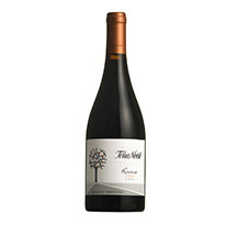 智利 泰瑞貴族 2012 豐收珍藏級 希拉紅葡萄酒 750 ml
