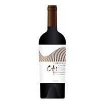 智利 泰瑞貴族 2011 CA1至尊級 卡門內里紅葡萄酒 750 ml