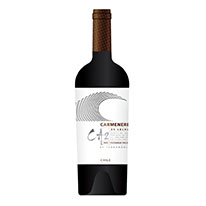 智利 泰瑞貴族 2011 CA2至尊級 卡門內里紅葡萄酒 750 ml