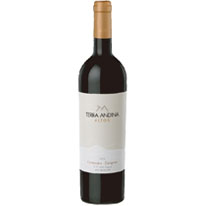 智利 德安媞娜 奧圖系列 卡門妮爾卡利濃紅葡萄酒 750 ml