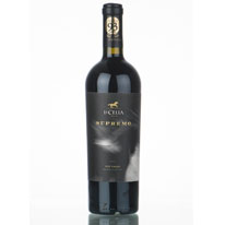 阿根廷 希利亞 首席風範紅葡萄酒 2008 750 ml