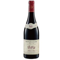 法國 馬德諾酒莊 2013 黑皮諾紅葡萄酒 750 ml