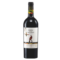 西班牙 李維拉斯卡堡 卡本內DO紅葡萄酒 750 ml