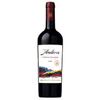 智利 安德魯 2013年 卡本內蘇維翁 葡萄酒 750ml