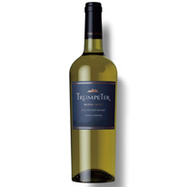 阿根廷 露堤尼酒廠 2015 號角 白蘇維翁白葡萄酒 750ml