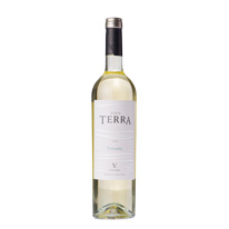 阿根廷 大地多倫特白葡萄酒 750ml