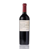 阿根廷 露堤尼 精選集紅葡萄酒第38章 750ml