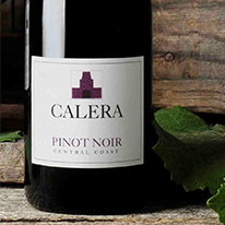 美國 凱蕾拉 中央海岸黑皮諾紅葡萄酒 750ml