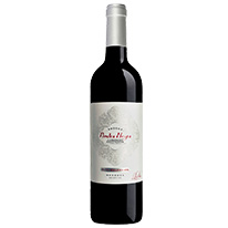 阿根廷 門多薩魯頓 黑寶石莊園 阿塔卡本內蘇維濃紅葡萄酒 750ml