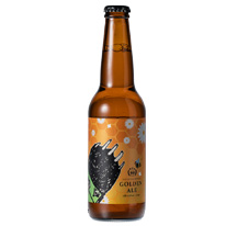 台灣 蔡氏金黃愛爾 330ml