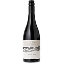 澳洲 海帕斯 擁抱系列希哈紅酒2017 750ml