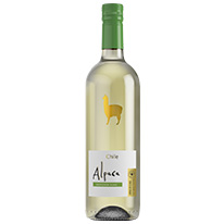 智利 羊駝白蘇維濃葡萄酒 750ml