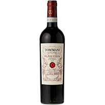 義大利 湯瑪士 瓦波里契拉紅葡萄酒 750ml