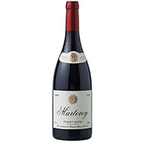 法國 瑪特黑 黑皮諾紅葡萄酒2020 750ml