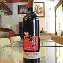 澳洲 Tisdall酒莊 金尼爾紅標2003 紅酒 750ml