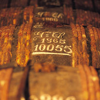 法國 御鹿1953年份 干邑白蘭地 700ml